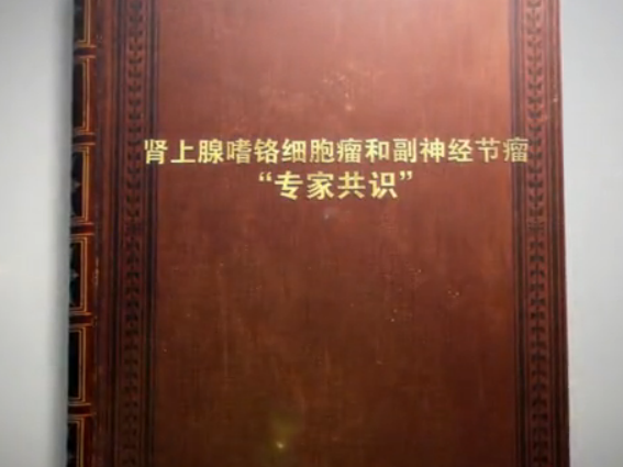 嗜铬细胞瘤和副神经节瘤诊断治疗的专家共识